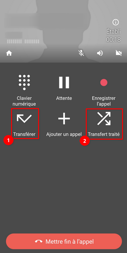 Options de transfert